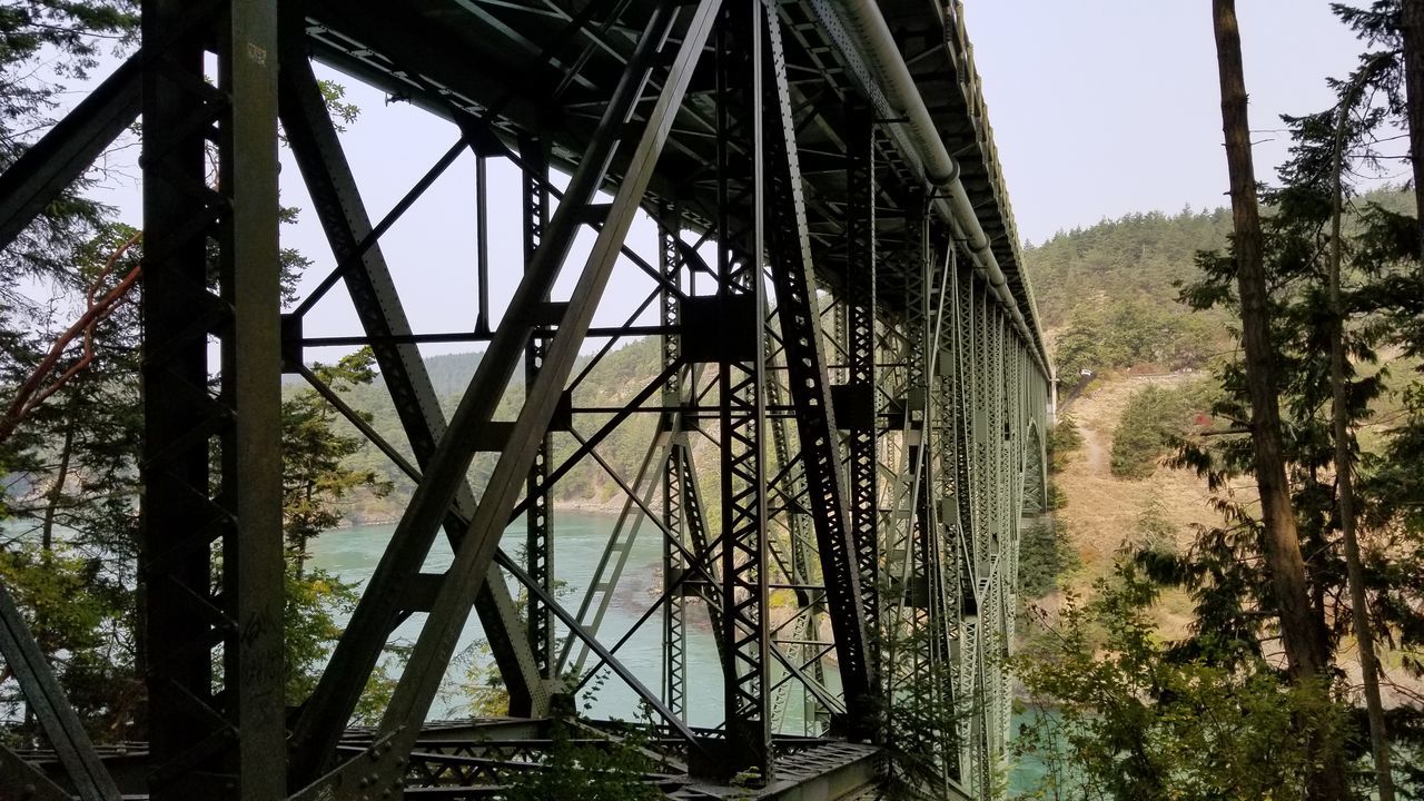 architecture, built structure, tree, nature, day, metal, bridge, no people, plant, connection, water, sky, transportation, outdoors, bridge - man made structure, land, forest, fuel and power generation