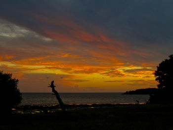 Scenic view of sea against orange sky