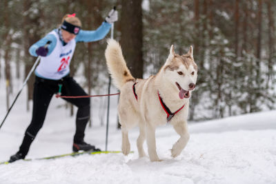 Full length of dog on snow covered land