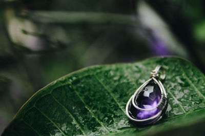 Close-up of gemstone on leaf