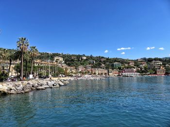 Scenic view of sea by palm trees against clear blue sky