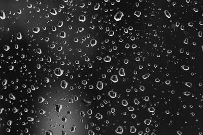 Full frame shot of water drops on leaf
