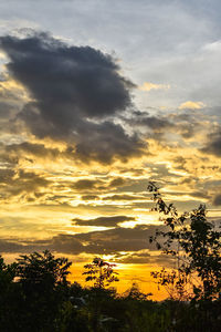 Silhouette trees against orange sky
