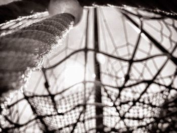 Low angle view of spider web against sky