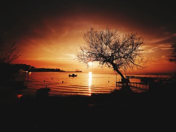 Silhouette tree by sea against sky during sunset