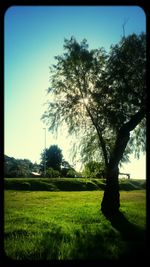 Scenic view of grassy field against cloudy sky