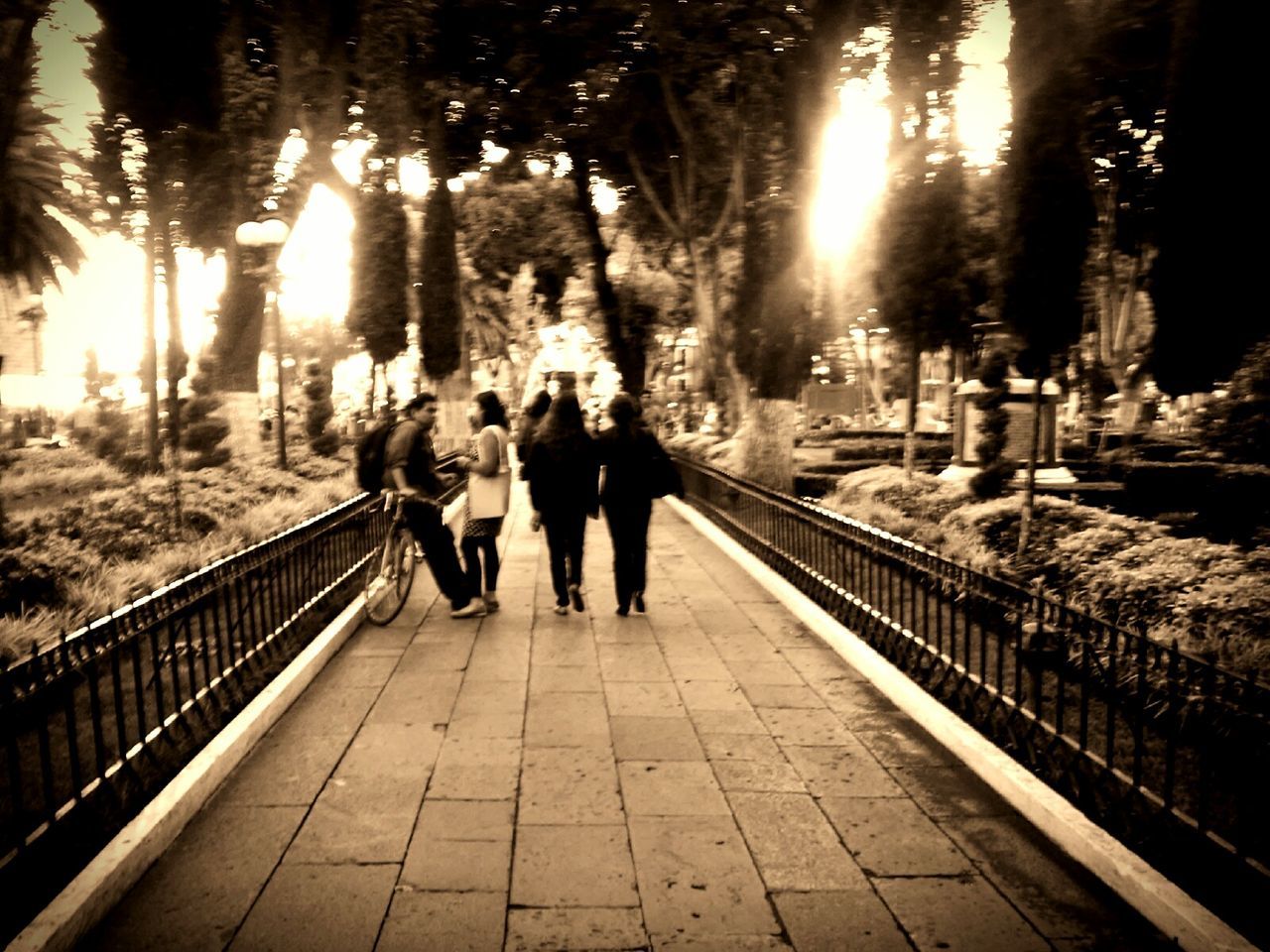 railing, lifestyles, men, architecture, bridge - man made structure, walking, built structure, leisure activity, person, sunlight, the way forward, connection, full length, rear view, togetherness, sun, sunbeam, footbridge