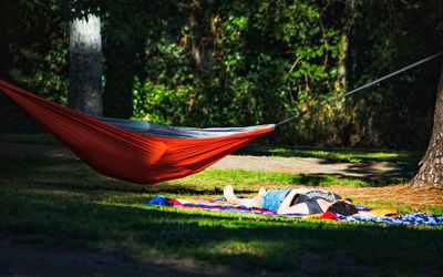 Tent in park