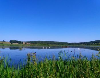 Scenic view of lake against clear blue sky