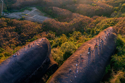 High angle view of road amidst trees during autumn