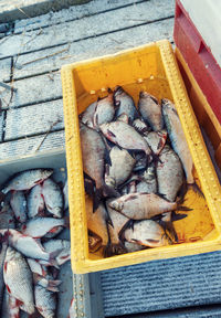 High angle view of fish for sale at market