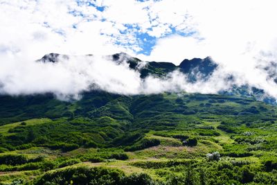 Scenic view of landscape against sky