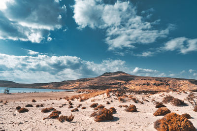 Scenic view of landscape against sky