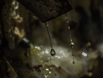 Close-up of raindrops on water drops