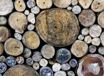 Full frame shot of logs in forest