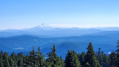 The majestic view of mt. jefferson from the mt. hood