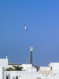 4g transmitters towers set up on a rooftop in a residential area