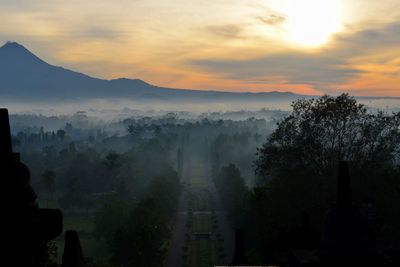 Trees against sky during foggy weather at borobudur during sunrise