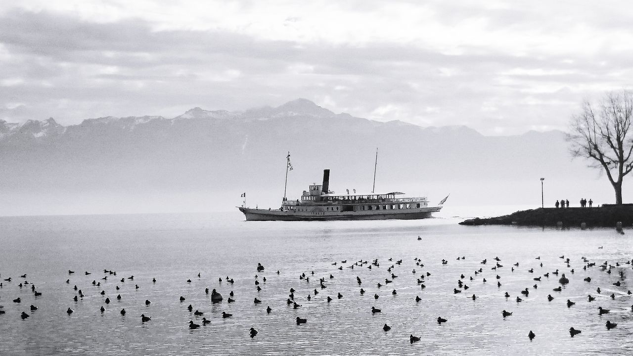 water, nautical vessel, sea, transportation, nature, sky, scenics, mode of transport, outdoors, beauty in nature, day, cloud - sky, mountain, tranquility, large group of animals, large group of people, animal themes, people