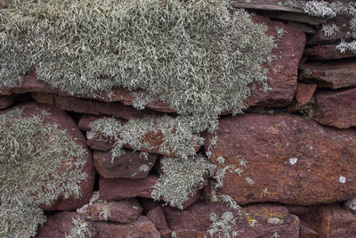 Close-up of stone wall