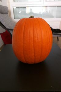 View of pumpkin