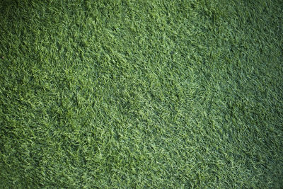 Green artificial grass full background