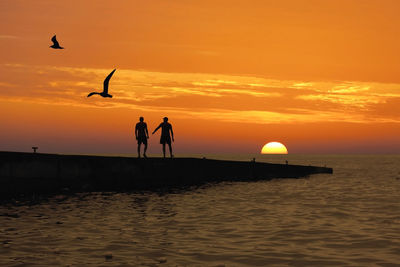 Silhouette of birds flying over sea