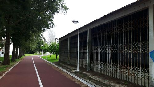 Empty road along trees and plants