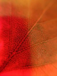 Full frame shot of red leaf