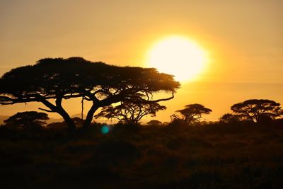 Silhouette trees on field against sky during sunset