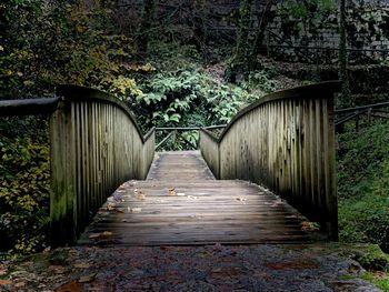 Footbridge amidst trees in forest