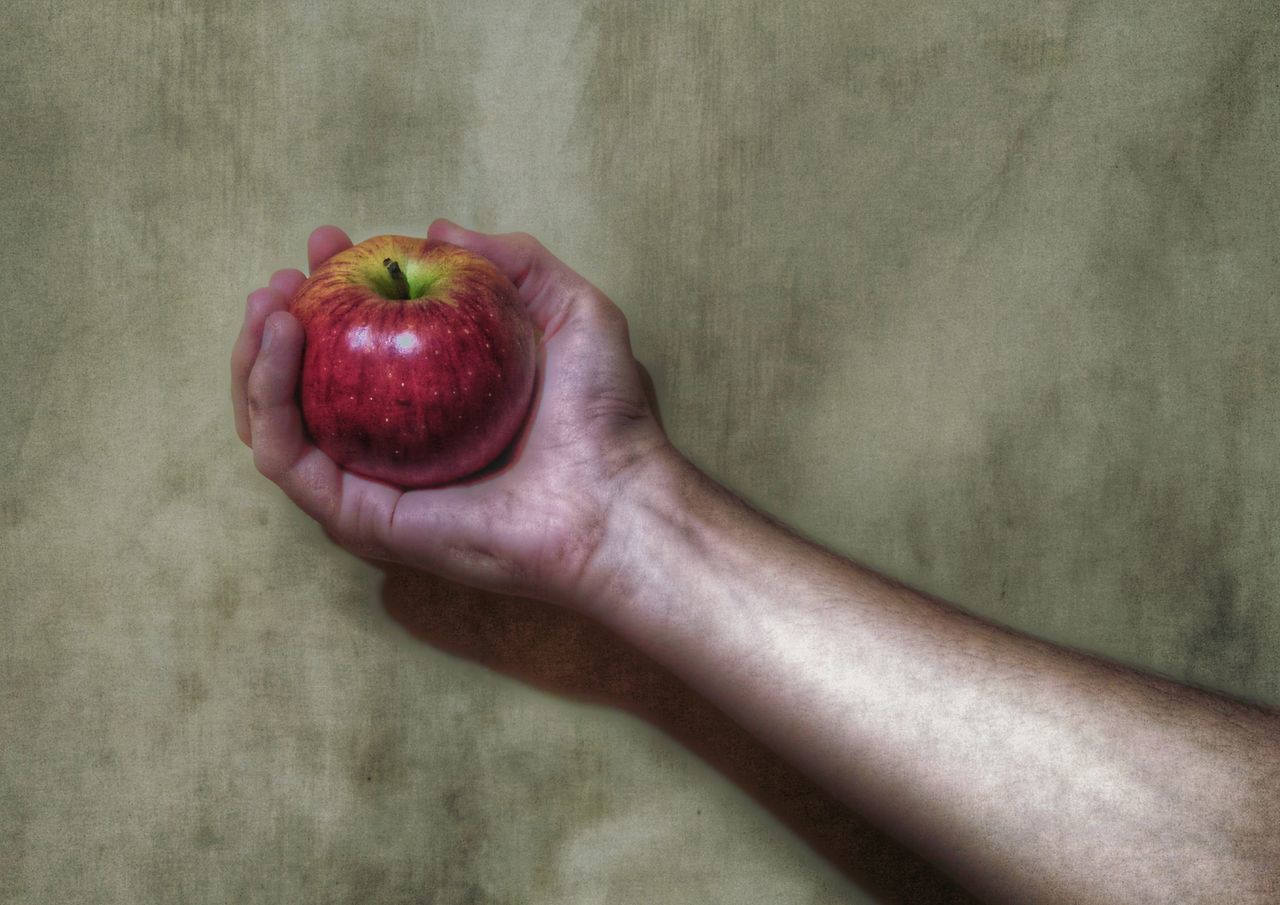 CLOSE-UP OF HAND HOLDING RED APPLES