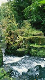 River flowing through rocks