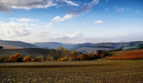 Scenic view of field against sky