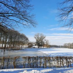 Bare trees on snow covered field against sky