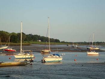 Boats moored in sea