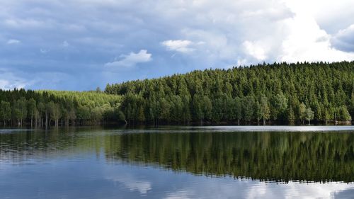 Scenic view of lake by trees in forest against sky