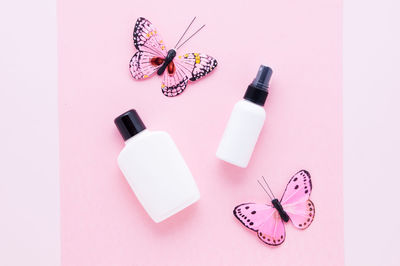 High angle view of butterfly on table