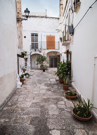 Grottaglie, italy. narrow alley amidst buildings in city