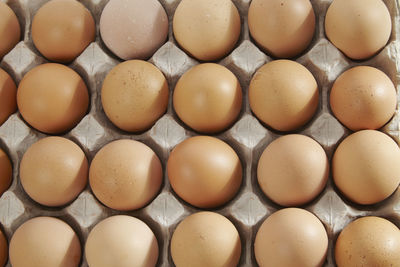 Close-up of eggs in cartoon