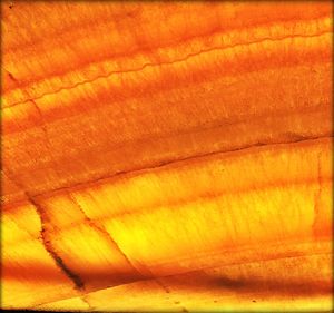 Full frame shot of yellow surface