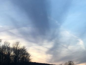 Low angle view of silhouette trees against sky