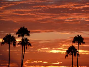 Silhouette palm trees on beach against sky at sunset