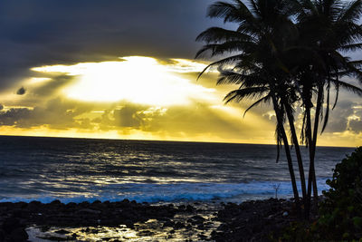 Palm tree by sea against sky during sunset