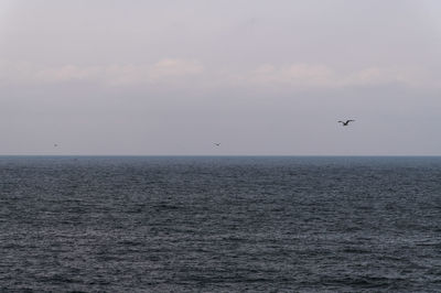 View of sea against sky