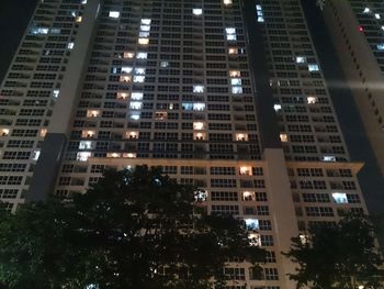 Low angle view of trees at night