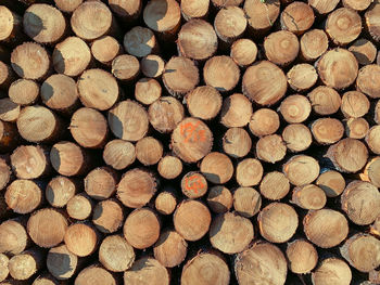 Full frame shot of logs