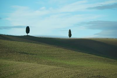 Scenic view of grassy field against sky