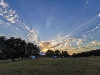 Trees on field against sky during sunset