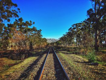 Railroad track amidst trees against clear blue sky